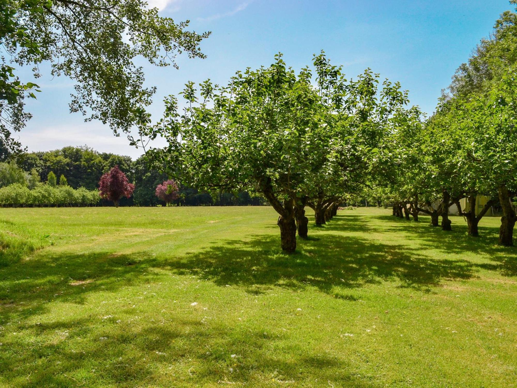 Deer Cottage 2 Uk39332 Biddenden Екстериор снимка